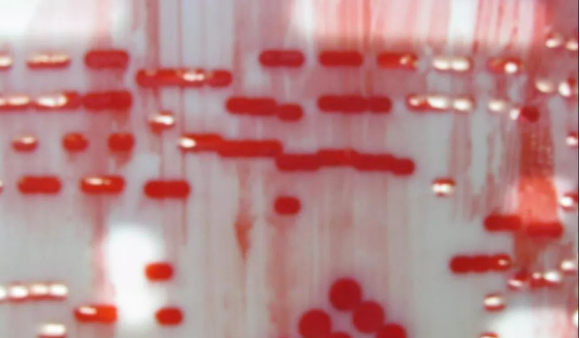 1688808906348252.png image.png